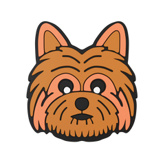 Budz | Terrier